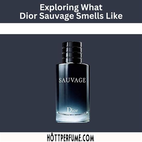 dior sauvage smells like.